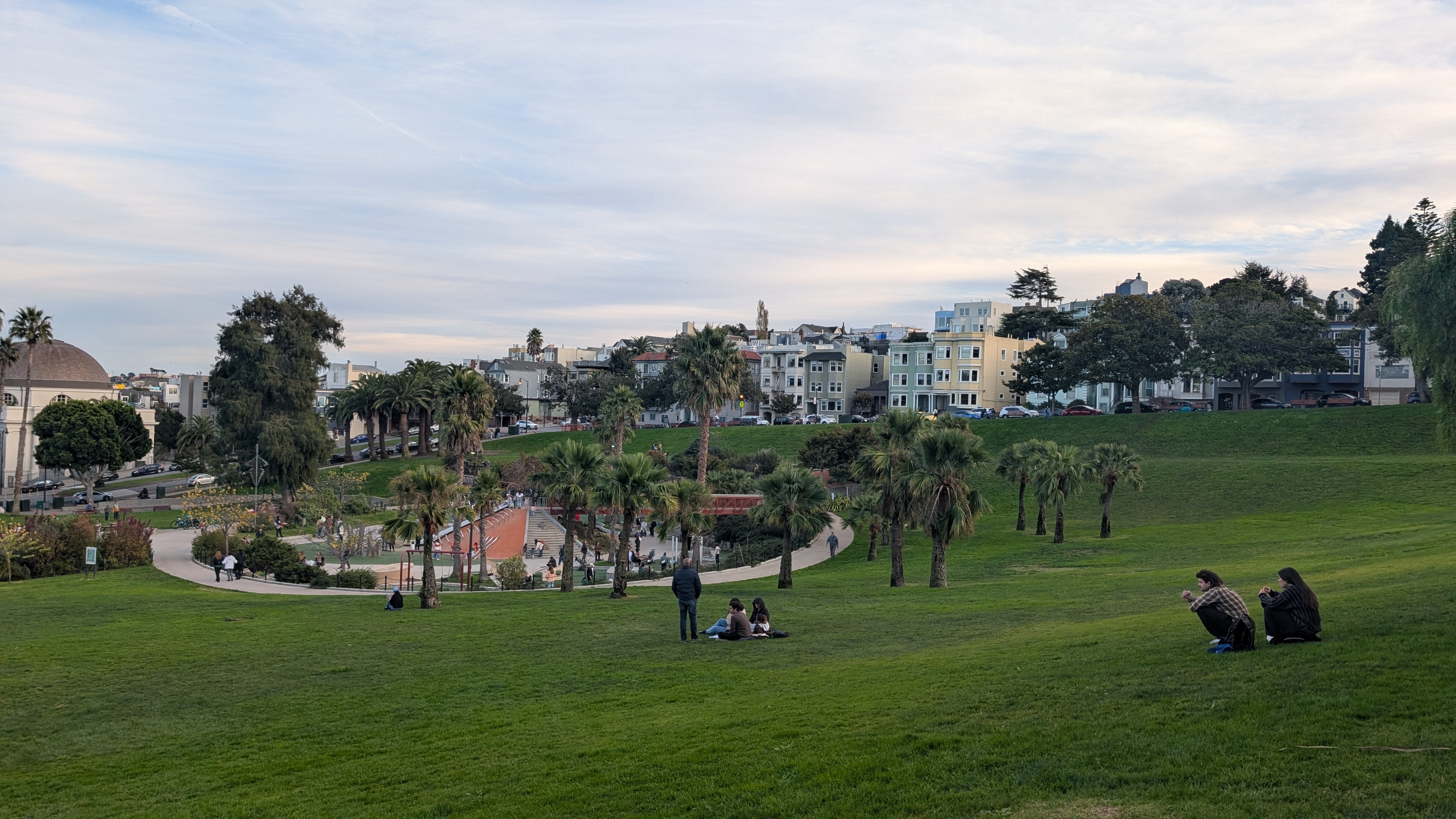 Mission Dolores Park hillside lawn with palm trees and neighborhood homes.