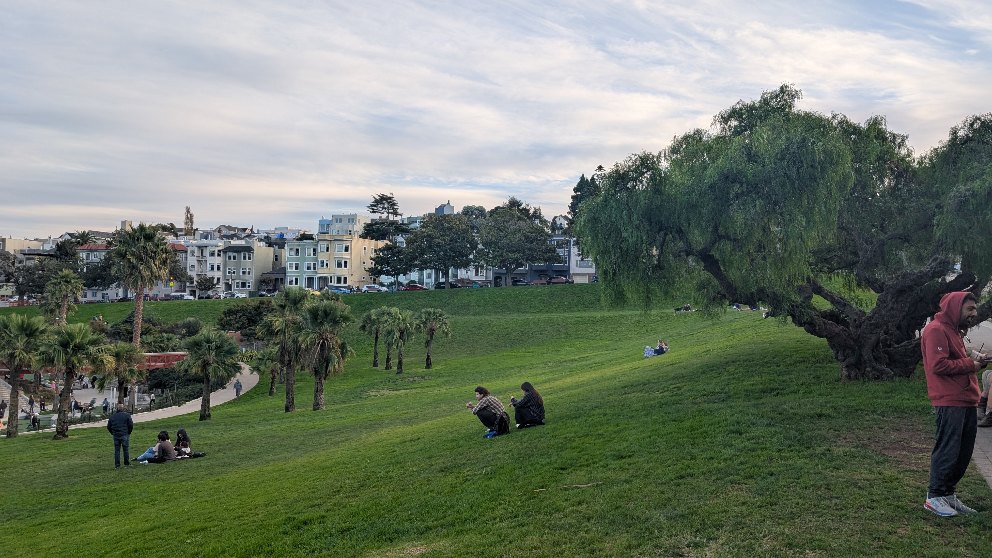 Mission Dolores Park hillside and trees with visitors relaxing on the grass.